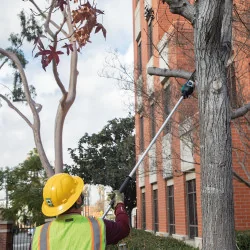 Podadora De Altura 12"(300Mm) 18Vx2 (3 DUA300PT2 Makita