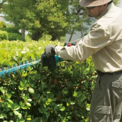 Cortaseto 18V Ltx 500Mm Corte 21,5Mm Motor Bl 1 Ba DUH502RT Makita